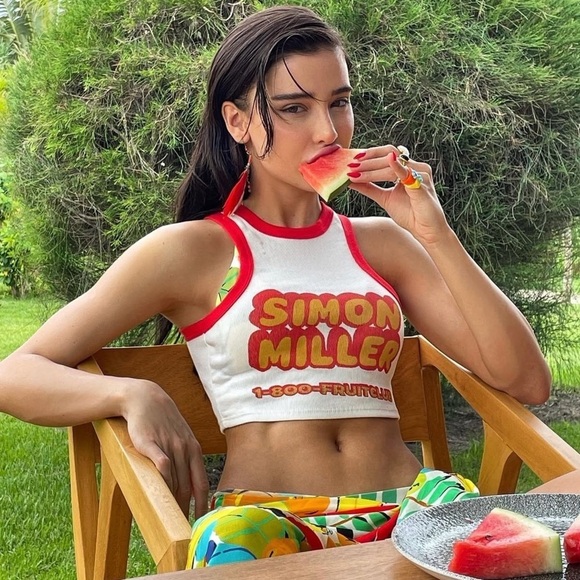 SIMON MILLER Tropical Floral Fruit Print High Rise Wide Leg Pull On Veda Pants L - Picture 8 of 11